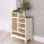 Armoire de rangement rétro pour vestibule, salon