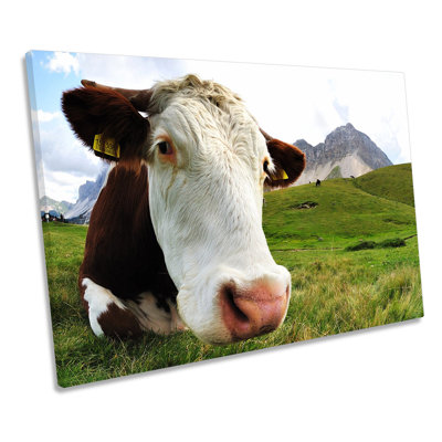 Highland Cow - Wrapped Canvas Print