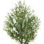 180cm Faux Olive Tree Tree in Planter
