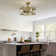 19.8 '' Farmhouse Reversible Caged Ceiling Fan with Light and Remote