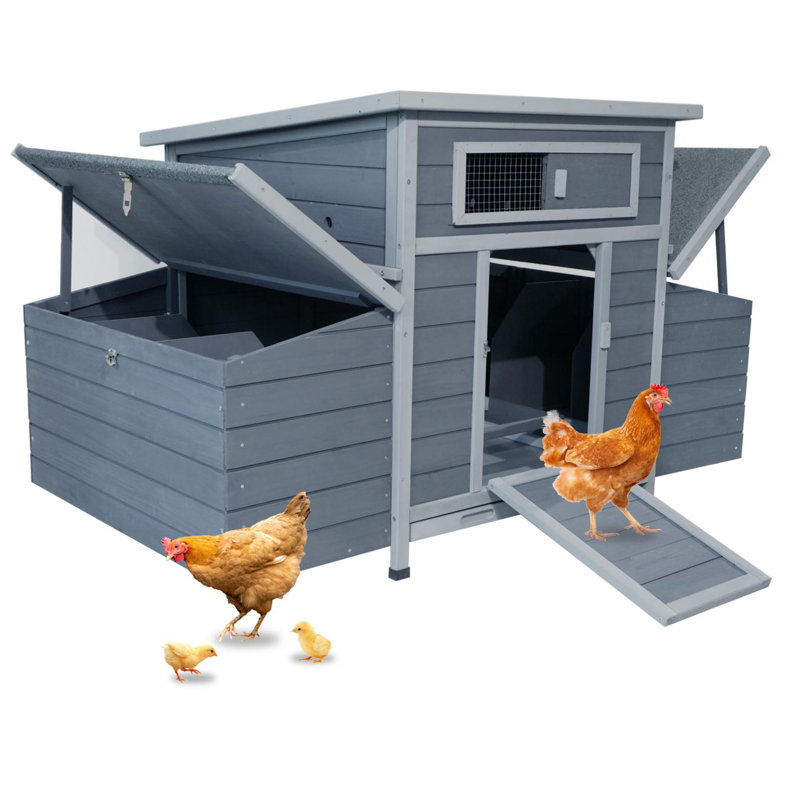 Grande cage à poules pour l'extérieur