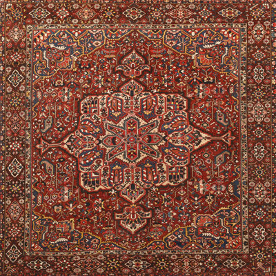 Oriental Indoor Rug