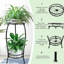 Support pour plante Reisterstown