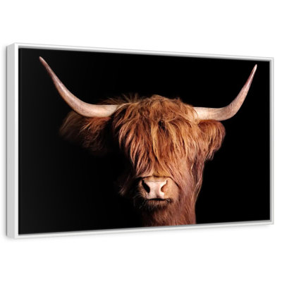 Vache écossaise Highland