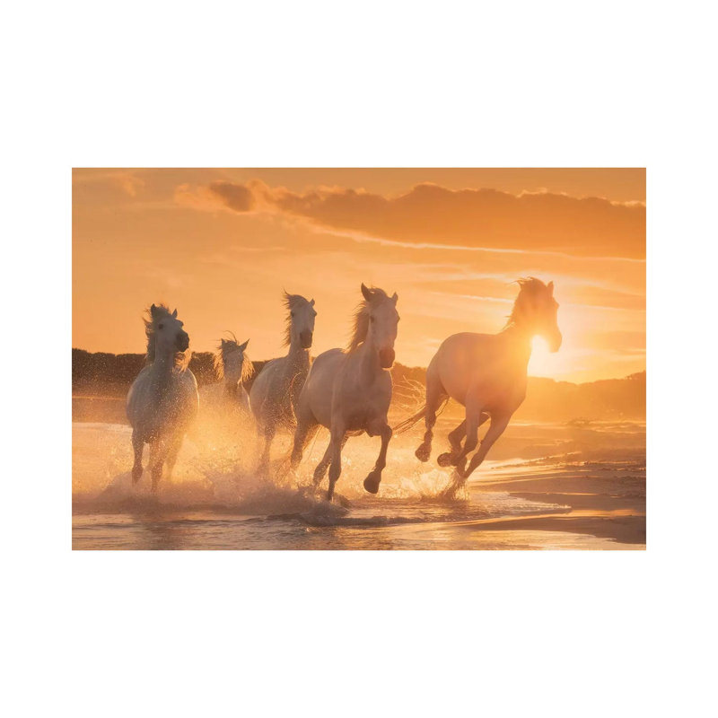 White Angels Of Camargue XL by Daniel Kordan - Wrapped Canvas Print, 20.32 cm H x 30.48 cm W