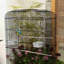 Cage à oiseaux Xxl Bird Farmer Budgie avec patio et accessoires avec support - noir-57575747