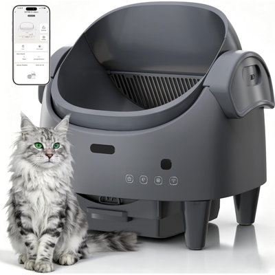 Open-Top Automatic Cat Litter Box, Safety Sensor, Adjustable Entrance, Odor Control, Gray