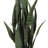 Artificial Sansevieria Snake Plant in Pot-1129665381