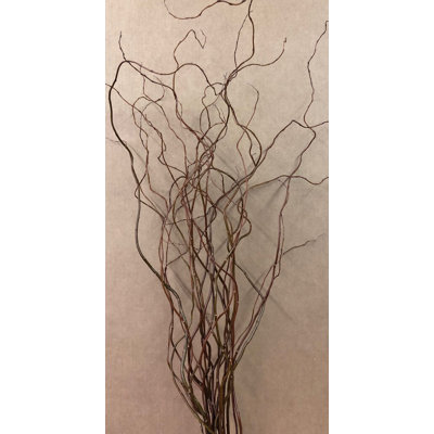 Natural Fibres Curly Willow Arrangement