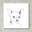 «Line Dog Chihuahua» par Chris Paschke - reproduction de dessin non encadrée-217889533