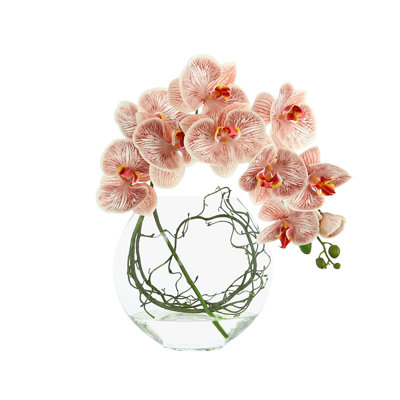 Arrangement d'orchidées et de vignes dans un vase
