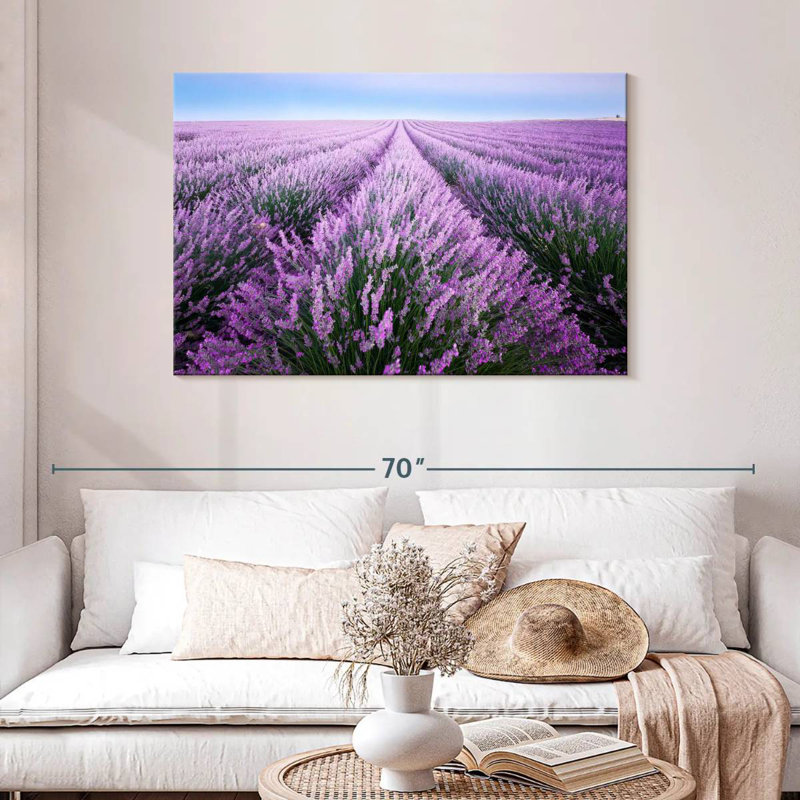 Champ de lavande d'Alvord en Provence, H 30 po x l 45 po