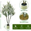 210cm Plant