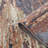 Abstract Indoor Rug-1964791814