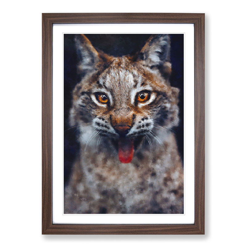 Lynx Cat - Picture Frame Graphic Art, Walnut Framed, 65cm H x 48cm W x 2cm D