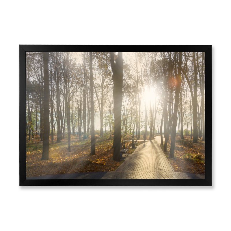 «Path by Melancholique Forest IV», reproduction sur toile flottante, Cadre photo noir, H 8 po x l 12 po x P 1 po