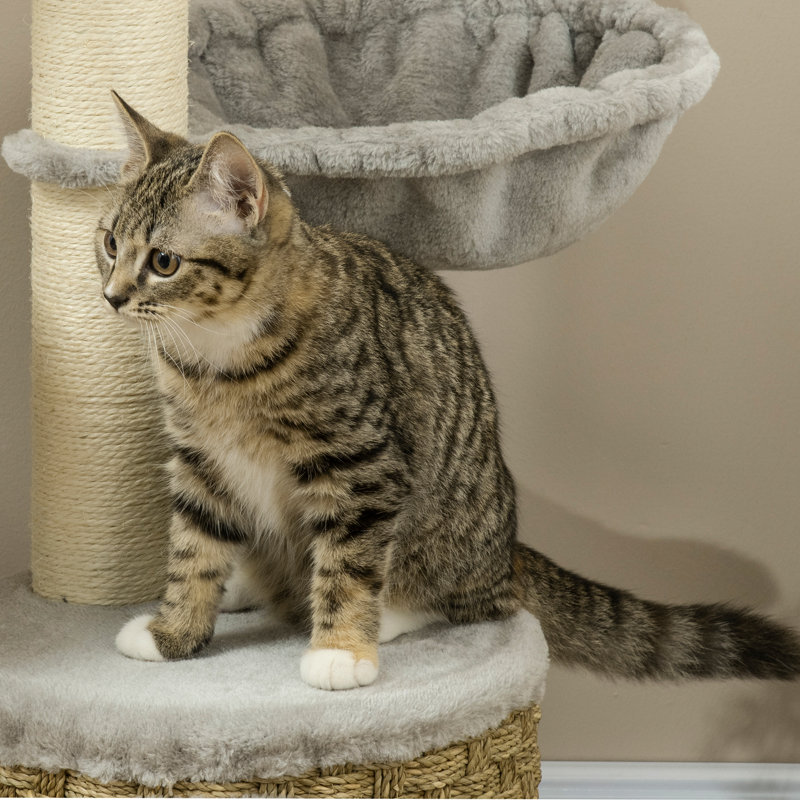 Cat Tree