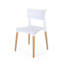 Chaise en plastique (ensemble de 2)