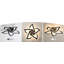 Rachna 5-head 60cm LED Integrated Semi Flush Mount Ceiling Light-1103130241-1103130243