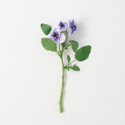 Mcnulty Pansy Arrangement