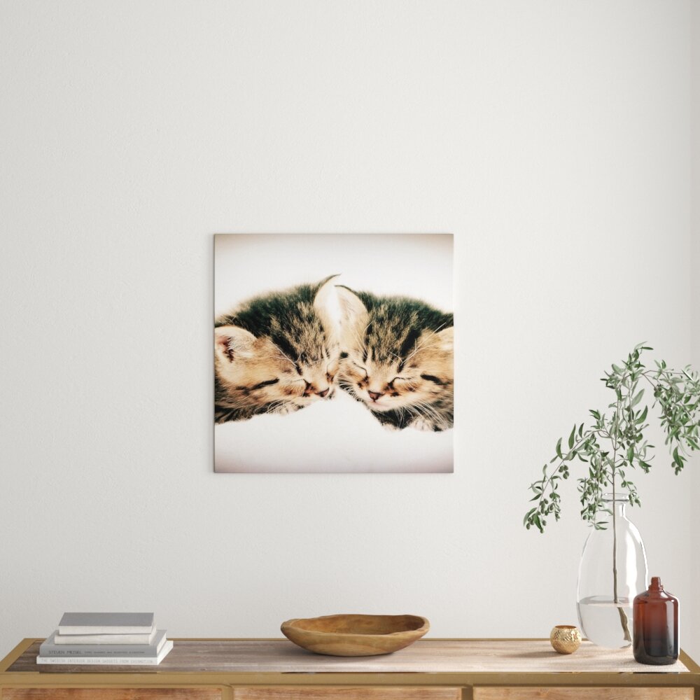 Leinwandbild Katzen Herzform