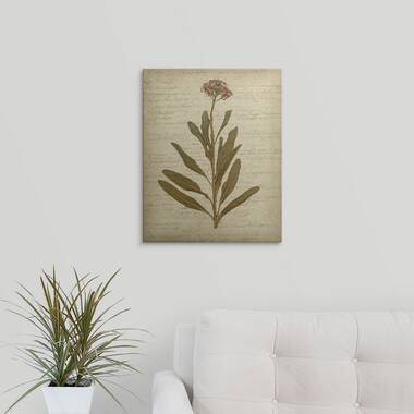 Red Barrel Studio® Pretty Pressed Flowers III On Canvas Painting