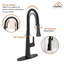Spring Neck Standard Kitchen Faucet with Dual-Function spray head and Deck Plate-76655468