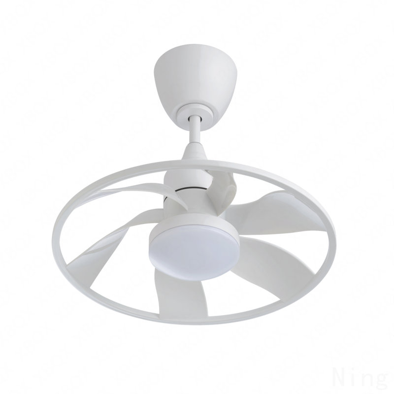 Light Pro 22 In. LED Indoor Matt Smart Ceiling Fan With DC Motor, White, White