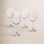 Veneto White Wine