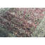 Hand Woven Wool Oriental Area Rug