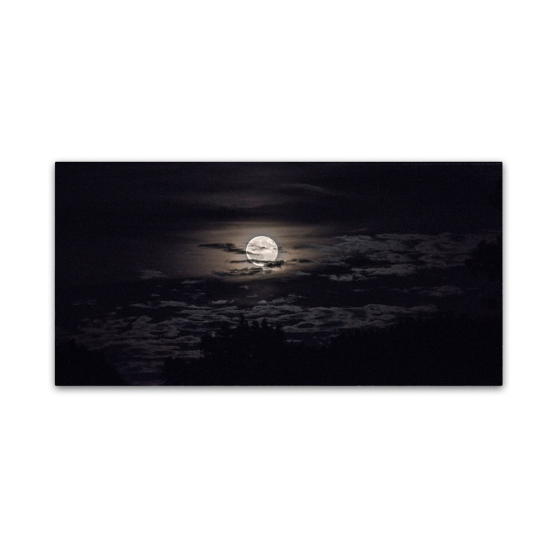 Cattima «Full Moon in Aquarius», reproduction de photo sur toile tendue, H 12 po x l 24 po x P 2 po