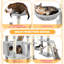 209cm H Cat Tree-1684180241