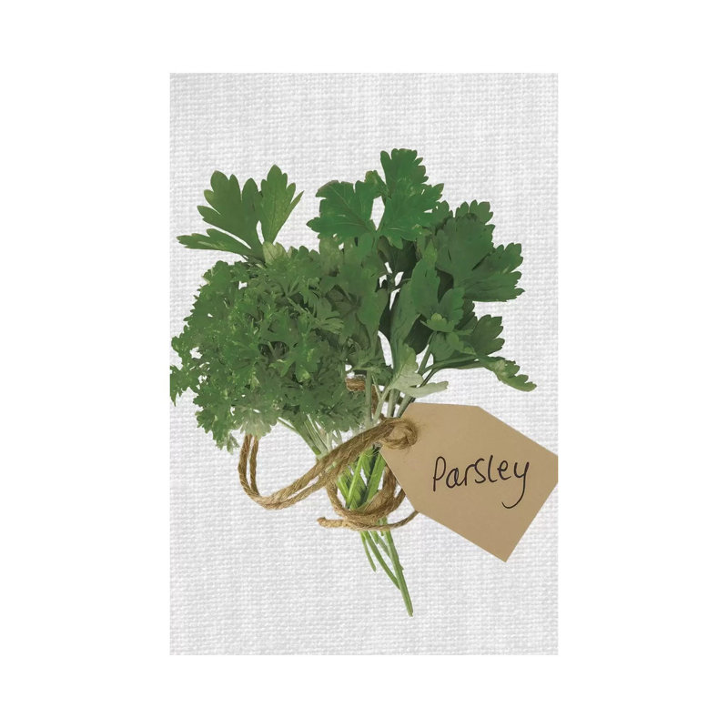 Parsley by Assaf Frank - Wrapped Canvas Print, 66.04 cm H x 45.72 cm W x 1.91 cm D