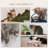 Wall-Mounted Multi-Level Cat Tree Activity Tower