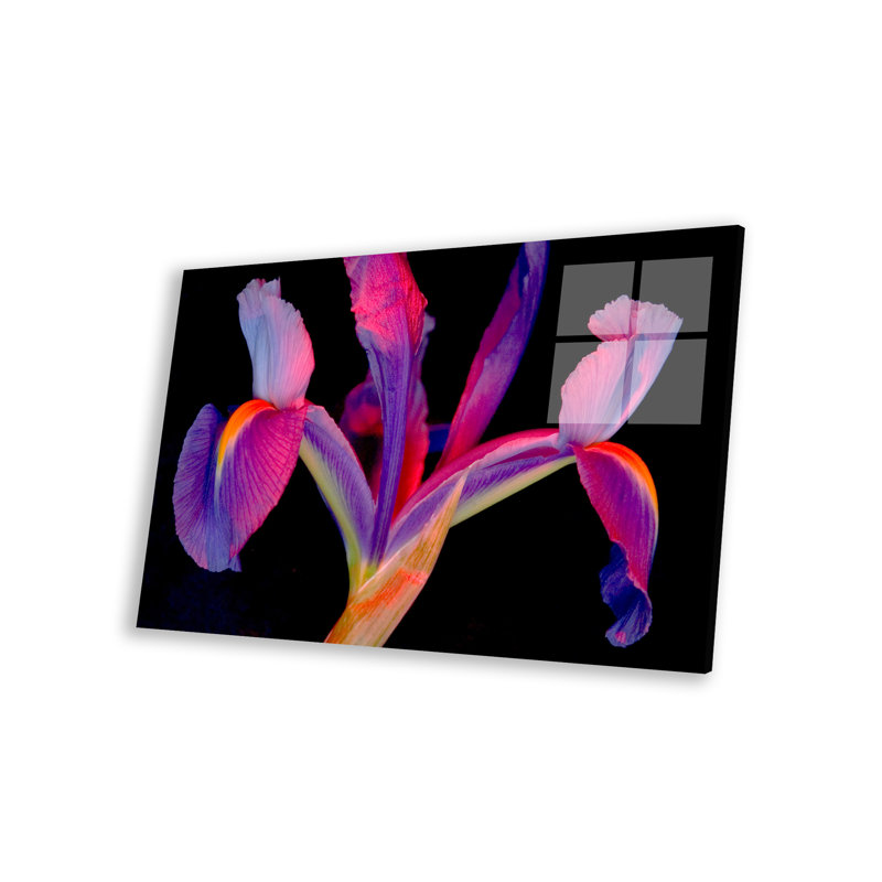 Impression vibrante d'iris sur verre acrylique