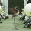 Statue de jardin Orlee Crane-62468148