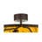 Jalyna 30'' Ceiling Fan with LED Lights