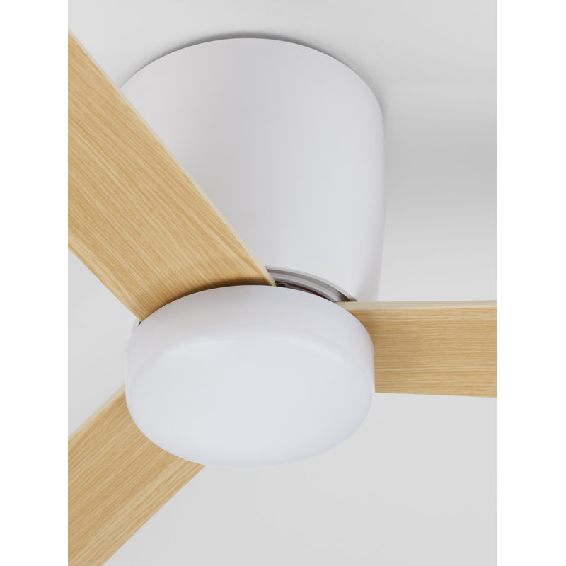 Ceiling Fan with LED Lights, Brown, White