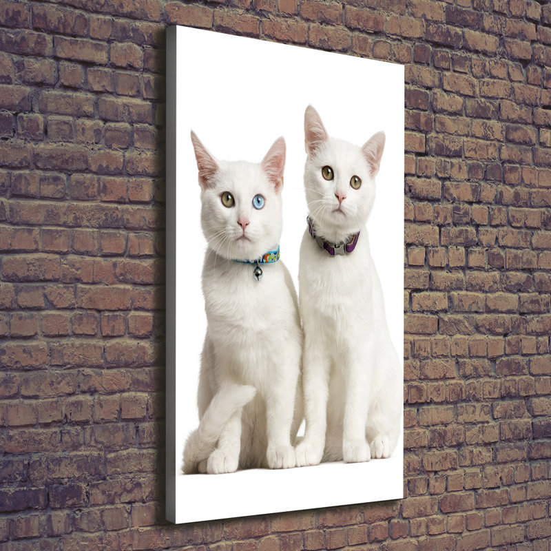 Mare With Foal - Wrapped Canvas Print