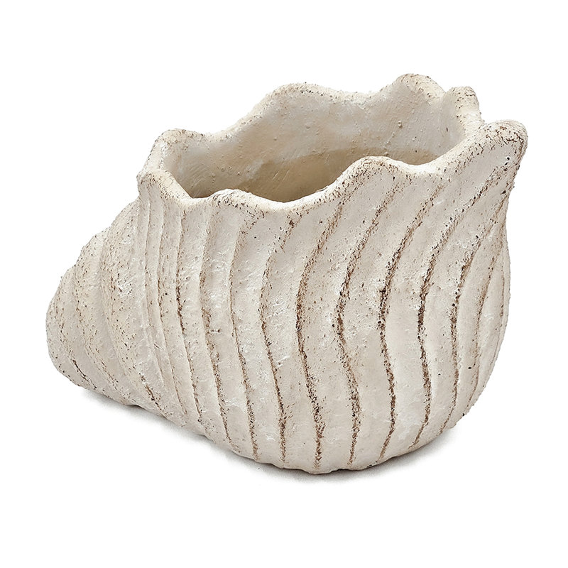 11.5X7x7 Inches Beige Sand And Cement Shell Planter For A Bohemian Touch In Your Bedroom
