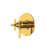 Unlacquered Brass