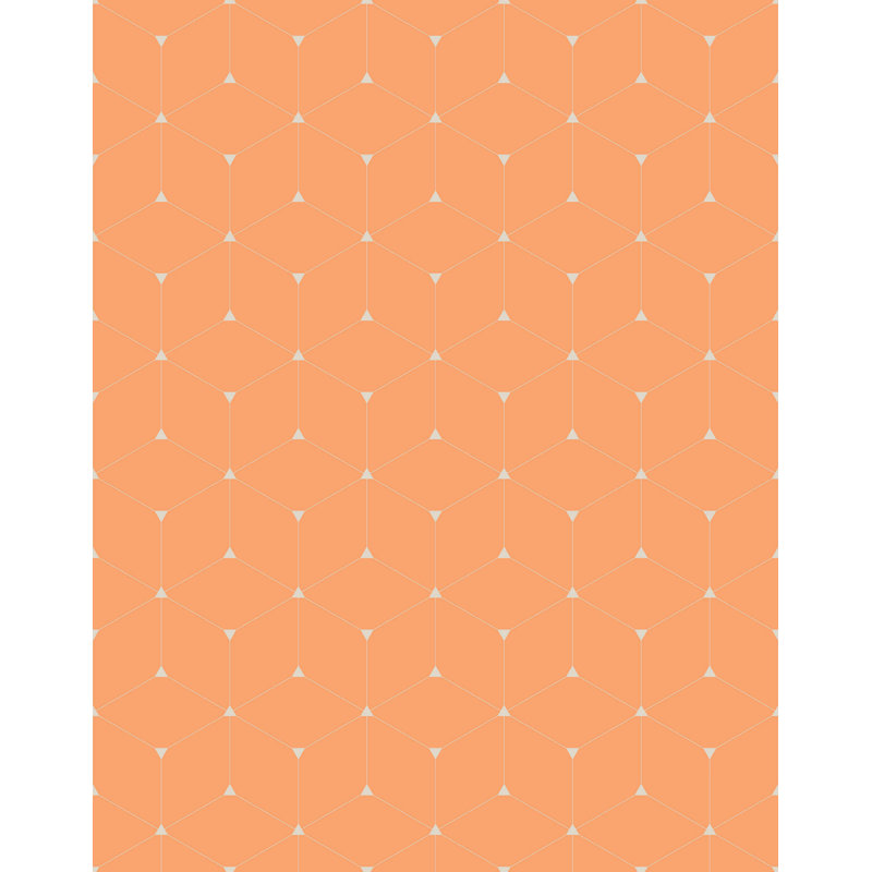 Swampscott Cube Geometric Wallpaper, Orange