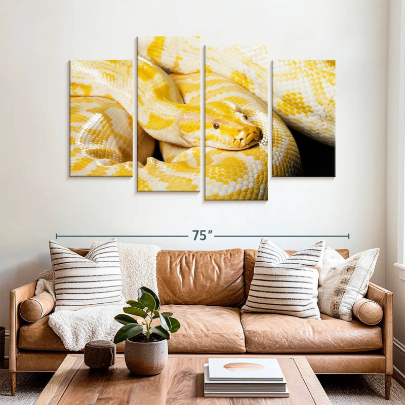 Brampt Albino Burmese Python, 42" H x 68" W