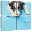 Brampt Dog Doctor-109163771