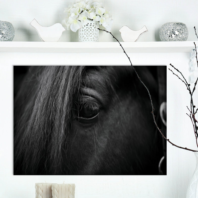 Œil d'un cheval - reproduction de photo sur toile tendue, H 20 po x l 20 po x P 1 po