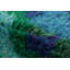 One-of-a-Kind 4’7x6’9 Hand Knotted Area Rug