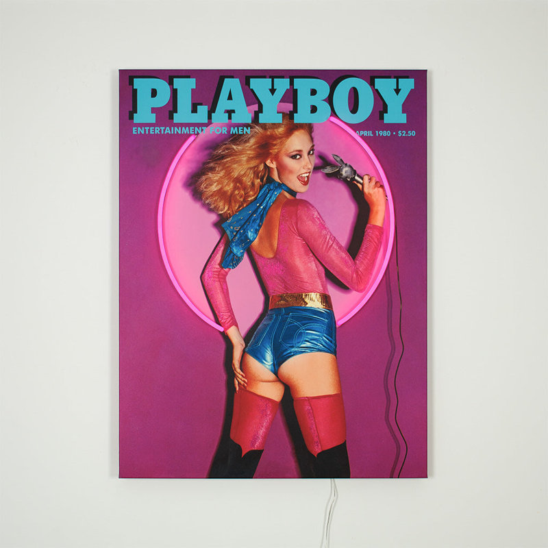Housse murale Playboy