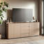 Meuble télé avec rangement HOMSEE