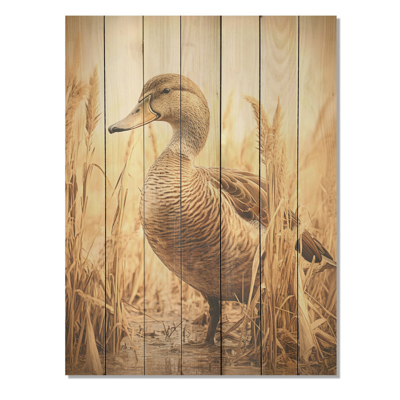 «Brown Duck Elegance I» - Impression sur bois, H 20 po x l 10 po