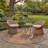 Claudinette Performance Abstract Indoor/Outdoor Area Rug-833061642